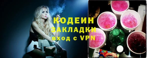 индика Снежногорск