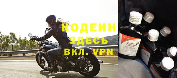 индика Снежногорск