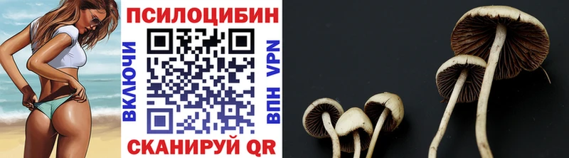 Псилоцибиновые грибы мухоморы МЕГА ССЫЛКА Печора